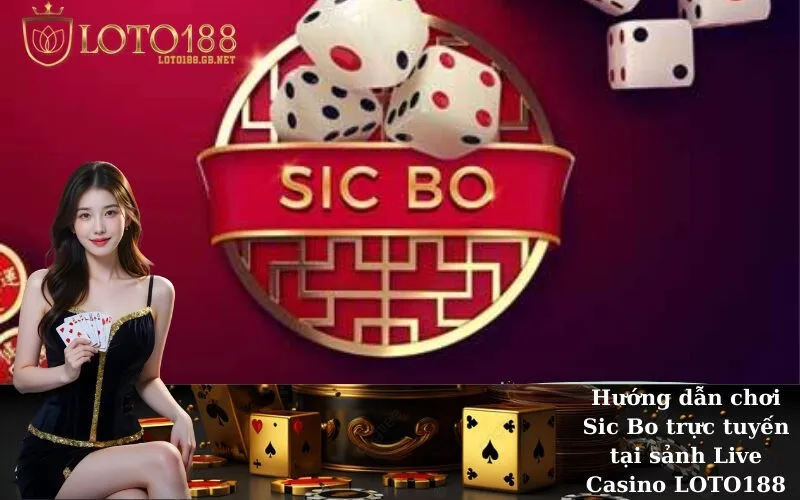Hướng dẫn chơi Sic Bo (Tài Xỉu) trực tuyến tại sảnh Live Casino LOTO188
