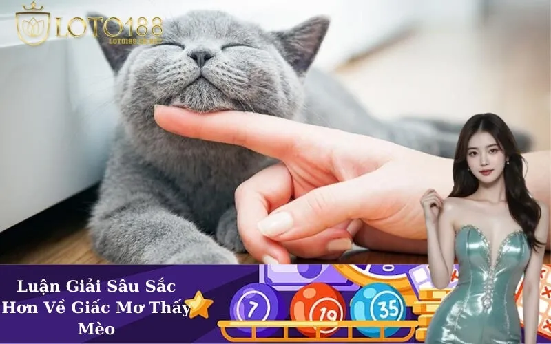 Luận Giải Sâu Sắc Hơn Về Giấc Mơ Thấy Mèo