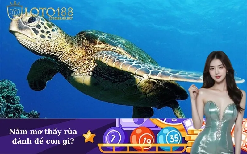 Nằm mơ thấy rùa đánh đề con gì?